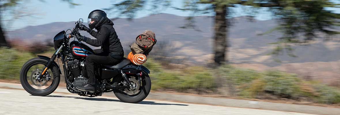 Secure Financing at Conrad's Harley-Davidson®.